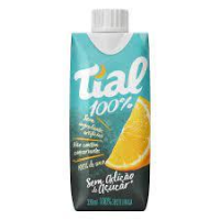 imagem de SUCO TIAL 100 % TP 330ML LARANJA